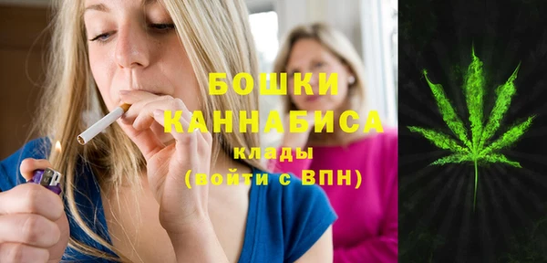 ECSTASY Бородино
