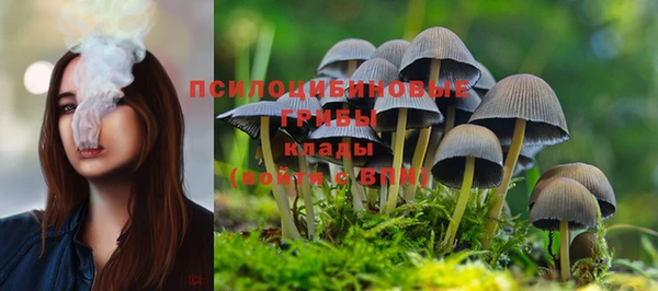 эйфоретик Шали