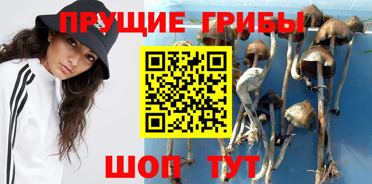 Коломна  Псилоцибиновые грибы Magic Shrooms  Вход с VPN 